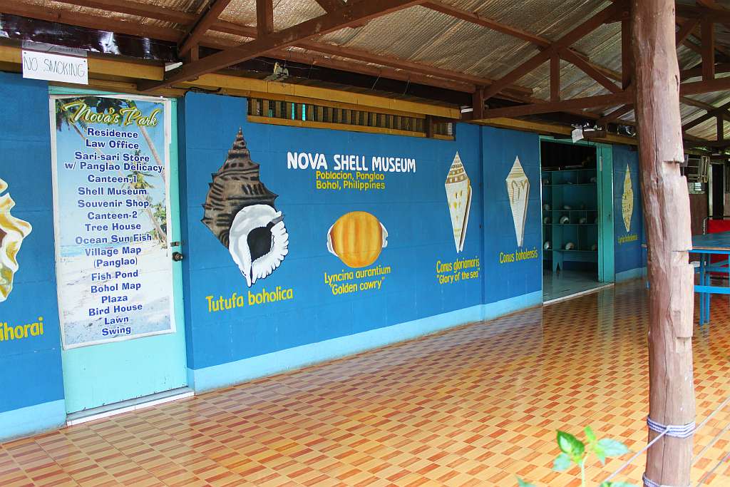 Nova sea shell museum 1024